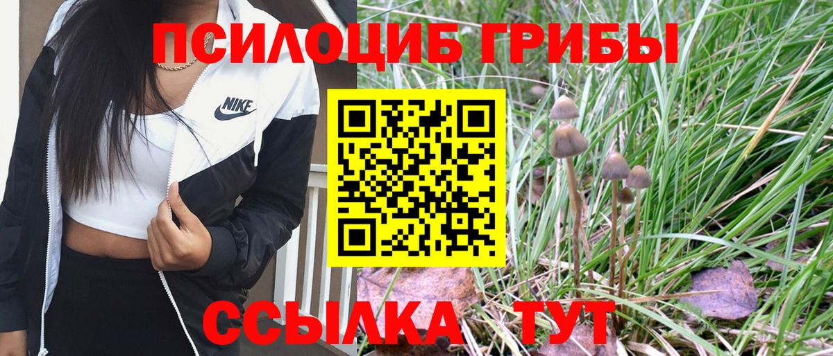 Галлюциногенные грибы Psilocybine cubensis  Вход с VPN  Красногорск 