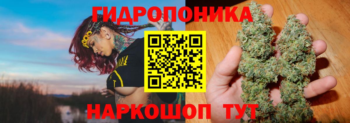 Красногорск  Шишки марихуана OG Kush  Вход с VPN  Конопля конопля 